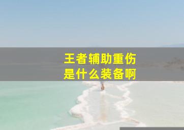 王者辅助重伤是什么装备啊