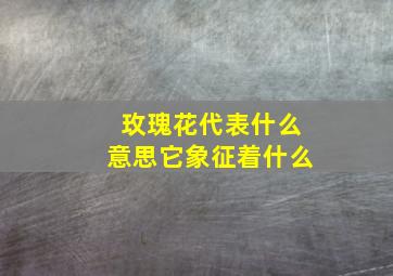 玫瑰花代表什么意思它象征着什么