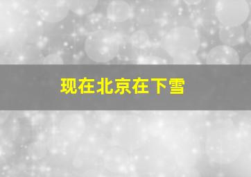 现在北京在下雪