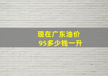 现在广东油价95多少钱一升