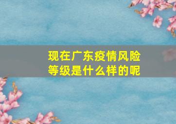 现在广东疫情风险等级是什么样的呢