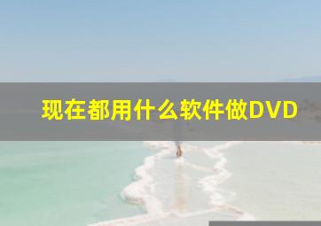 现在都用什么软件做DVD