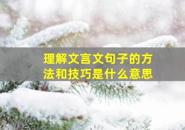 理解文言文句子的方法和技巧是什么意思