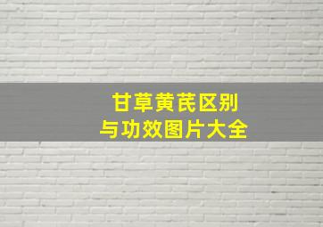 甘草黄芪区别与功效图片大全