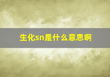 生化sn是什么意思啊