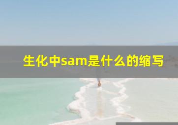 生化中sam是什么的缩写