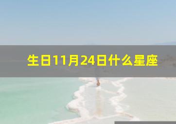 生日11月24日什么星座