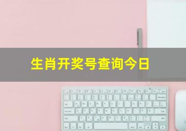 生肖开奖号查询今日