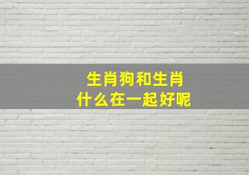 生肖狗和生肖什么在一起好呢