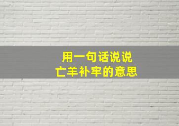 用一句话说说亡羊补牢的意思