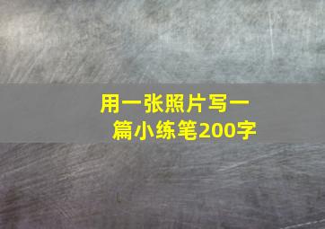 用一张照片写一篇小练笔200字