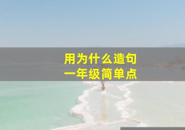 用为什么造句一年级简单点