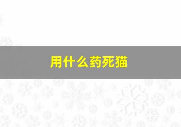 用什么药死猫