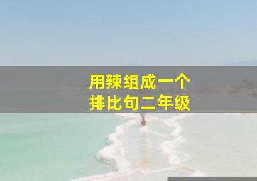 用辣组成一个排比句二年级