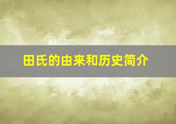 田氏的由来和历史简介