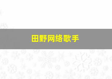 田野网络歌手