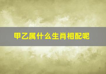 甲乙属什么生肖相配呢