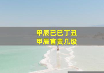 甲辰已巳丁丑甲辰官贵几级