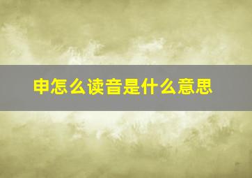 申怎么读音是什么意思