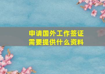 申请国外工作签证需要提供什么资料