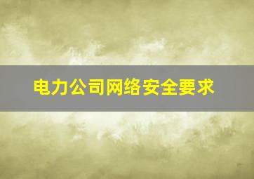 电力公司网络安全要求