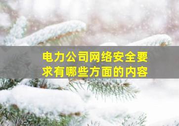 电力公司网络安全要求有哪些方面的内容