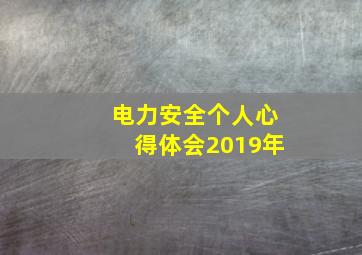 电力安全个人心得体会2019年