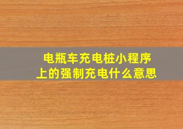 电瓶车充电桩小程序上的强制充电什么意思