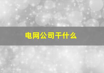 电网公司干什么