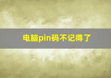 电脑pin码不记得了