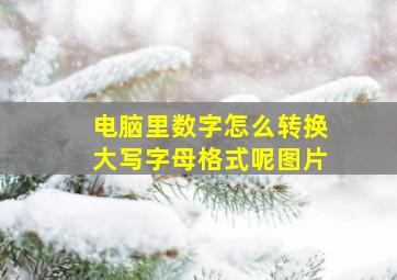 电脑里数字怎么转换大写字母格式呢图片