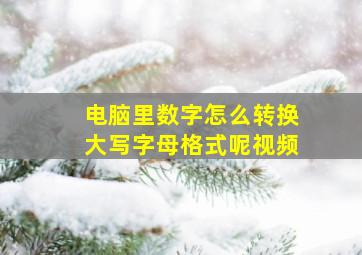 电脑里数字怎么转换大写字母格式呢视频