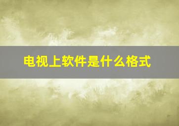 电视上软件是什么格式