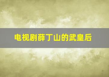 电视剧薛丁山的武皇后