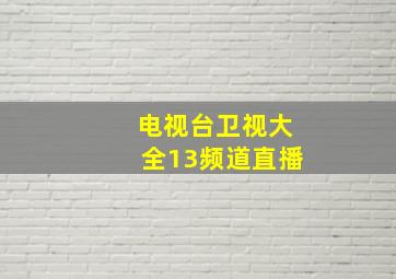 电视台卫视大全13频道直播