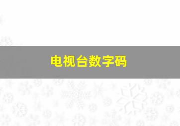 电视台数字码