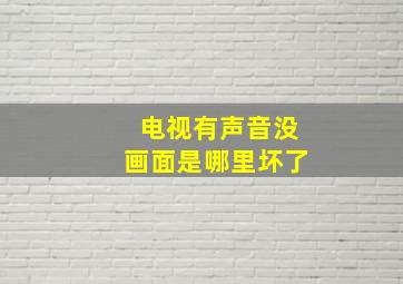 电视有声音没画面是哪里坏了