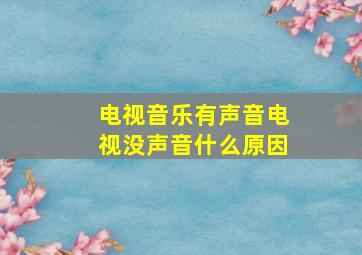 电视音乐有声音电视没声音什么原因