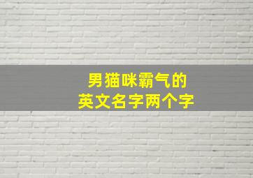 男猫咪霸气的英文名字两个字