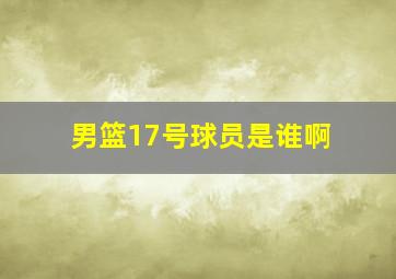 男篮17号球员是谁啊