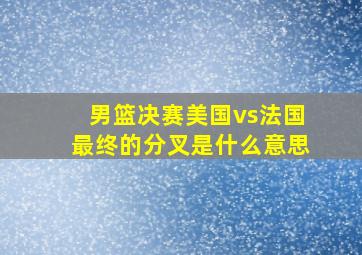 男篮决赛美国vs法国最终的分叉是什么意思