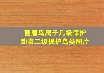 画眉鸟属于几级保护动物二级保护鸟类图片