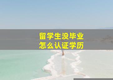 留学生没毕业怎么认证学历