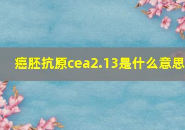 癌胚抗原cea2.13是什么意思