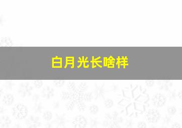 白月光长啥样