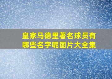 皇家马德里著名球员有哪些名字呢图片大全集