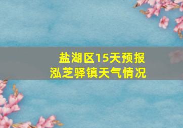 盐湖区15天预报泓芝驿镇天气情况