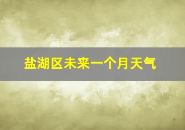 盐湖区未来一个月天气