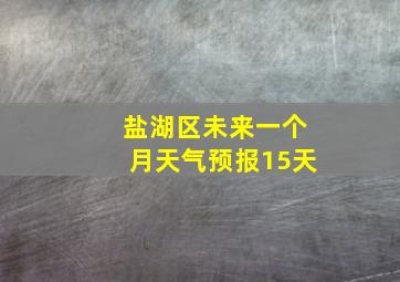 盐湖区未来一个月天气预报15天