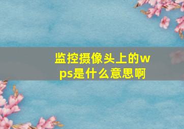 监控摄像头上的wps是什么意思啊